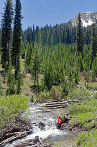 Woman by stream at forest