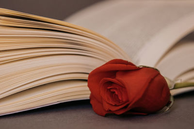 Close-up of red rose and book on table