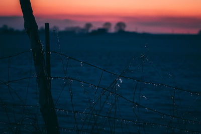 Close-up of silhouette plants against sky during sunset