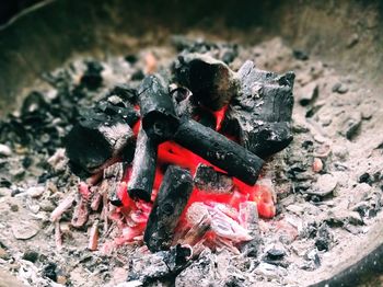 Close-up of fire on log