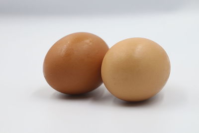 Close-up of eggs against white background