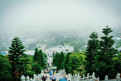 Trees in city against sky