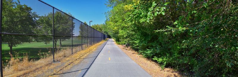 Empty road amidst trees against sky