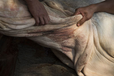 Cropped image of men holding cow skin