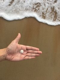 Close-up of hand holding blurred over sea