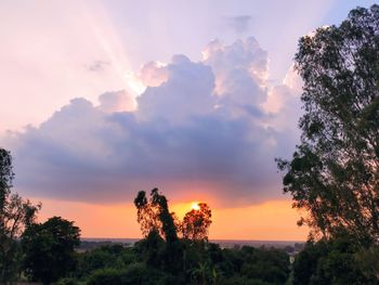 Silhouette trees against sky during sunset