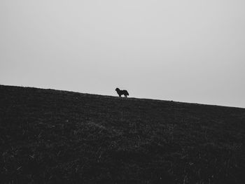 Full length of silhouette person on field against clear sky