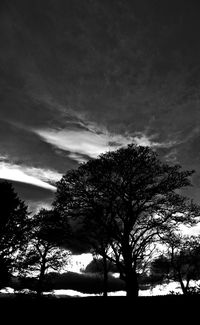 Silhouette of trees against cloudy sky