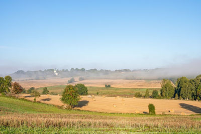 Rural landscape view at a valley with morning fog on the fields