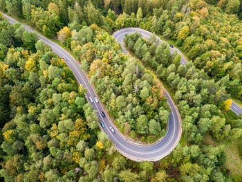 High angle view of road amidst trees