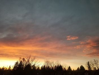 Low angle view of silhouette trees against dramatic sky