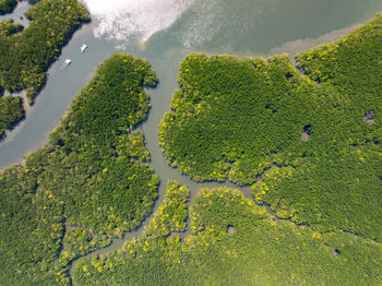 Aerial view of landscape