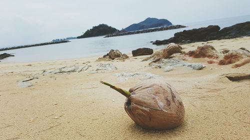 View of sea from shore