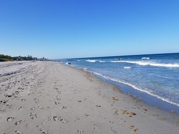 Scenic view of beach against clear blue sky