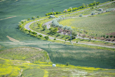 High angle view of agricultural field