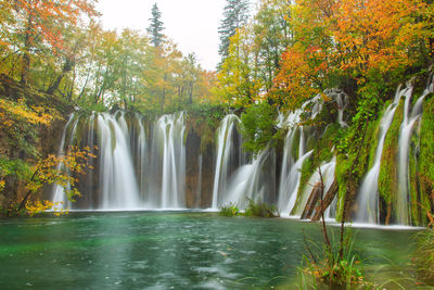 View of waterfall in forest