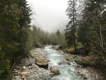 Stream flowing through rocks in forest against sky