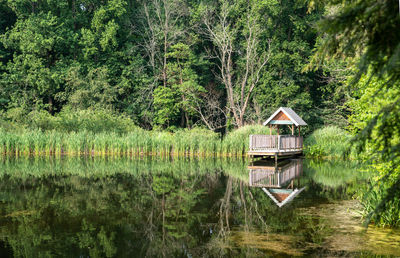 Idyllic scene of a woodland pond with a small shed and fishing pier. tall grasses line the bank.