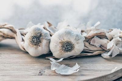 Close-up of garlic on table, vintage look 