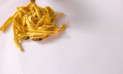 Close-up of yellow flower over white background