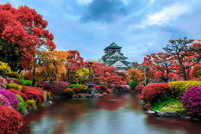 Autumn trees by river against sky