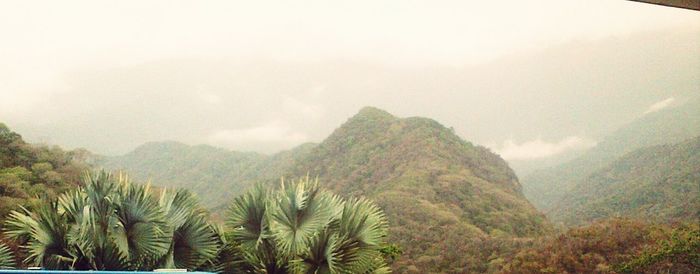 mountain