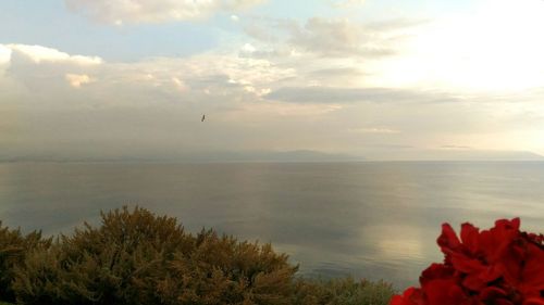 Scenic view of sea against cloudy sky