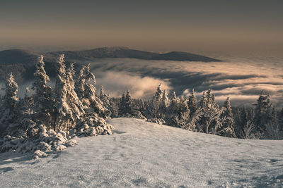 winter