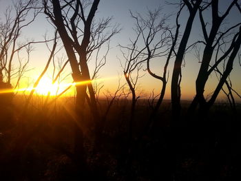 Silhouette trees on field against sky at sunset