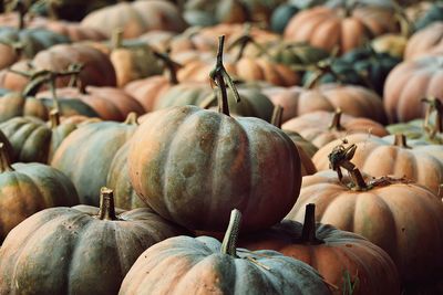 Full frame shot of pumpkins