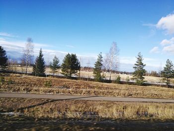 Scenic view of trees against sky