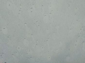 Full frame shot of raindrops on glass window