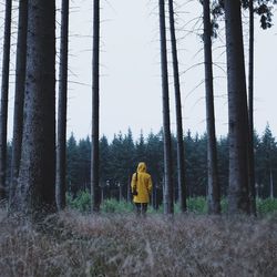 Rear view of man standing in forest