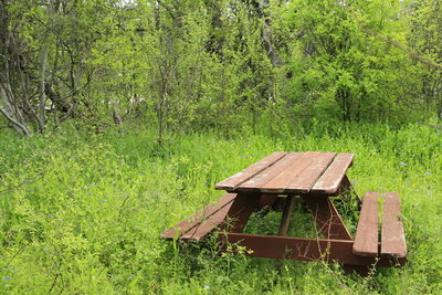 Picnic table on grassy field