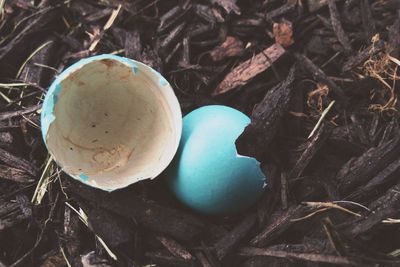 Close-up of food on table