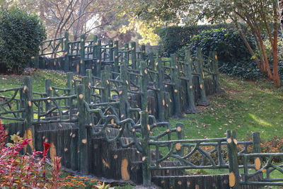 Plants and trees in park