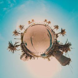 Low angle view of small palm tree against sky