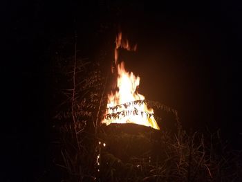 Close-up of bonfire at night