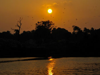 Scenic view of silhouette trees against orange sky