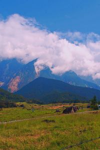 Scenic view of field against sky