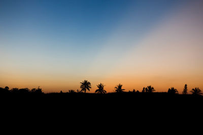 Silhouette trees against sky during sunset