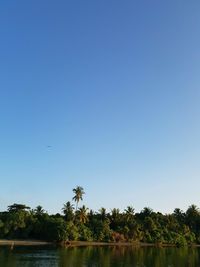 Scenic view of lake against clear blue sky