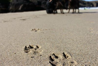 Surface level of sand on beach