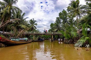 SCENIC VIEW OF PALM TREES ON BOAT