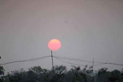 Low angle view of trees against sky