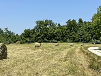 Hay bales on field against sky