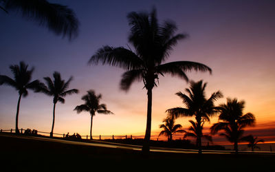 Silhouette of palm trees at sunset