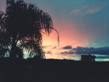 Silhouette trees against sky during sunset