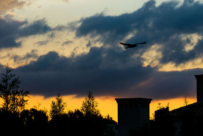 Low angle view of silhouette birds flying against sky during sunset