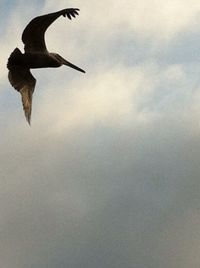 low angle view